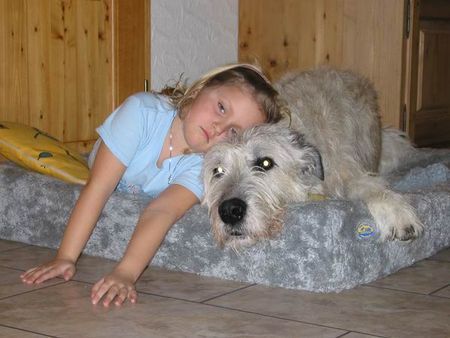 Irish Wolfhound Robin hat eine neue Freundin...