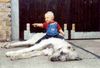 Irish Wolfhound Foto: Gefunden im Netz! (ID 9416) Irish Wolfhound Hund