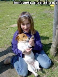 Jack-Russell-Terrier Hunde Foto 3205 Jack-Russell-Terrier mein liebster Freund..
