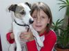Jack-Russell-Terrier Foto: Darf ich vorstellen das ist mein Bruder (ID 8145) Jack-Russell-Terrier Hund