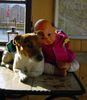 Jack-Russell-Terrier Foto: Fuzzi als Puppensitter (ID 21043) Jack-Russell-Terrier Hund
