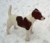 Jack-Russell-Terrier Foto: Noble Knights Bismarck (ID 28755) Jack-Russell-Terrier Hund