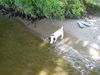 Jack-Russell-Terrier Foto: Unsere Cocki mit 9 Wo.: (ID 33224) Jack-Russell-Terrier Hund