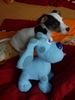 Jack-Russell-Terrier Foto: Cocki mit 11 Wo. (sie ist auch eine Tochter von Starski ;-) (ID 33602) Jack-Russell-Terrier Hund