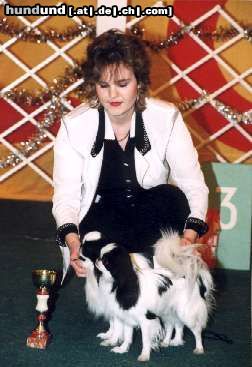 Japan Chin Hunde Foto 25783 in höherer Auflösung ansehen Japan Chin AIKEMUNO - www.aikemuno.spb.ru