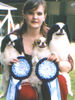 Japan Chin Hund