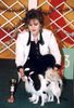 Japan Chin Hund