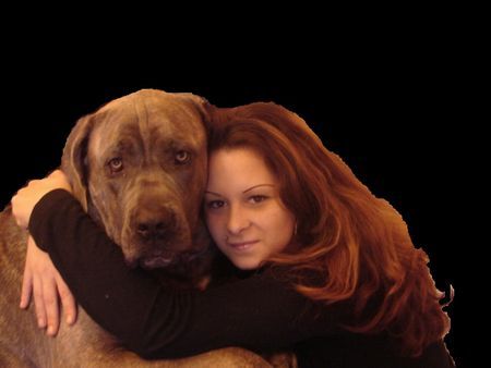 Dogo Canario ares,eve und odin