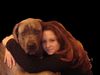 Dogo Canario Foto: ares,eve und odin (ID 30994) Dogo Canario Hund