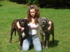 Dogo Canario Foto: alle zusammen (ID 31410) Dogo Canario Hund