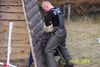 Dogo Canario Foto: Dogo Canario (Alano)-Leistungszucht! Wir züchten auf Gesundheit, Wesensfestigkeit, Leistungsbereitschaft und Typ. Welpen und spanische Importhunde zu verkaufen... (ID 7839) Dogo Canario Hund