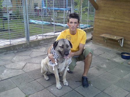 Kangal ates disi kangal mannheim