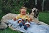 Kangal Foto: Bodyguard (ID 5129) Kangal Hund