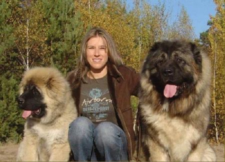 Kaukasischer Schäferhund NURBEK with his father FLEX