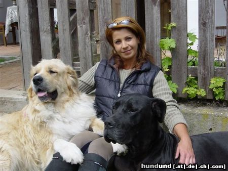 Kaukasischer Schäferhund Hunde Foto 18715 Kaukasischer Schäferhund Benni : Mischung aus kaukasischem Schäferhund und Bernhardiner