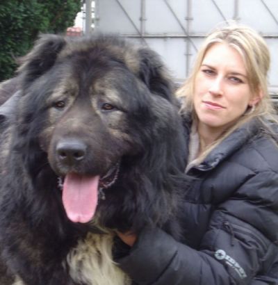 Kaukasischer Schäferhund Hunde Foto 37142 Kaukasischer Schäferhund Candidate Champion of Poland, Candidate International Champion, Polish Club Winner, Multi Best Male in Breed, Multi Best of Breed Winner Remeny Dombi BRUNO \\\\\\\\\\\\\\\\\\\\\\\\\\\\\\\\\\\\\\\\\\\\\\\\\\\\\\\\\\\\\\\\\\\\\\\\\\\\\\\\\\\\\\\\\\\\\\\\\\\\\\\\\\\\\\\\\\\\\\\\\\\\\\\\\\\\\\\\\\\\\\\\\\\\\\\\\\\\\\\\\\\\\\\\\\\\\\\\\\\\\\\\\\\\\\\\\\\\\\\\\\\\\\\\\\\\\\\\\\\\\\\\\\\\\\\\\\\\\\\\\\\\\\\\\\\\\\\\