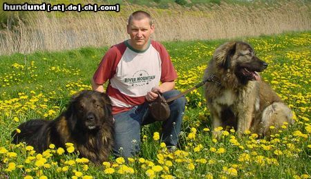 Kaukasischer Schäferhund Hunde Foto 11057 Kaukasischer Schäferhund Husar und Dana