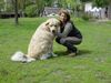 Kaukasischer Schäferhund Foto: Mein (ID 18714) Kaukasischer Schäferhund Hund