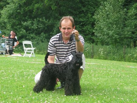 Kerry Blue Terrier Kordes Acacia Blossom