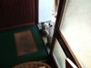 Kerry Blue Terrier Hund