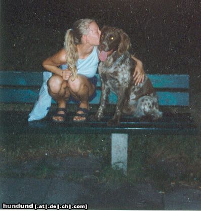 Kleiner Münsterländer Hunde Foto 7426 Kleiner Münsterländer Frauchen knutscht Django mal wieder ab ;-)