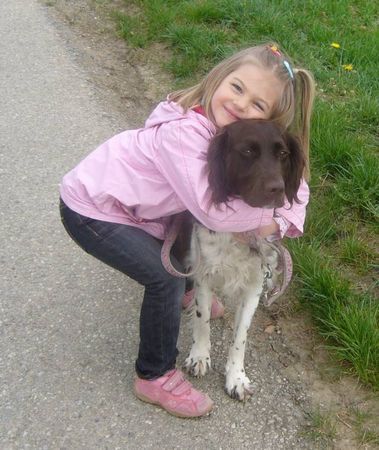 Kleiner Münsterländer Hunde Foto 42974 Kleiner Münsterländer Ich hab meinen Münsti so lieb
