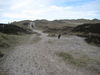 Kleiner Münsterländer Foto: donna in den dünen auf sylt (ID 42424) Kleiner Münsterländer Hund