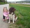 Kleiner Münsterländer Foto: Wir machen beide Platz (ID 42100) Kleiner Münsterländer Hund
