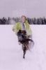 Kleiner Münsterländer Foto: Wo bleibt der Schnee? Ich will Spaß!!! (ID 8291) Kleiner Münsterländer Hund