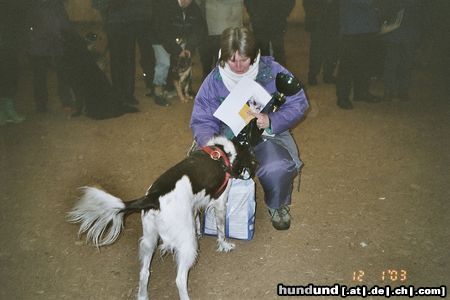 Kleiner Münsterländer Hunde Foto 6610 Kleiner Münsterländer Gewinn beim Agi-Wintercup