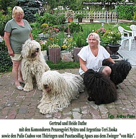 Komondor Gertrud und Heide Dathe im Sommer 2004 mit Komondoren Nyitra Penzesgyöri und Argentina- Teri Zsoka sowie den Pulis Csabos von Thüringen und Pusztacsillag Apacs Foto: Andrea Funke