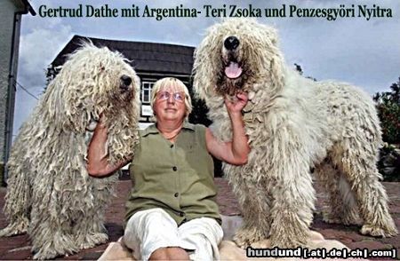 Komondor Hunde Foto 20845 Komondor Gertrud Dathe im Sommer 2004 mit Argentina- Teri Zsoka und Nyitra Penzesgyöri Foto: Uwe Meinhold