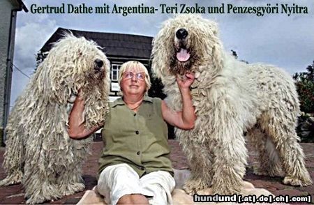 Komondor Gertrud Dathe im Sommer 2004  mit Argentina- Teri Zsoka und Nyitra Penzesgyöri   Foto: Uwe Meinhold