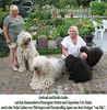 Komondor Hund