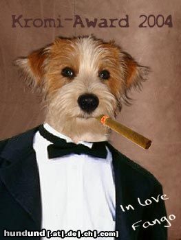 Kromfohrländer Hunde Foto 16561 in höherer Auflösung ansehen Kromfohrländer Fango - A Star is born