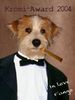 Kromfohrländer Foto: Fango - A Star is born (ID 16561) Kromfohrländer Hund