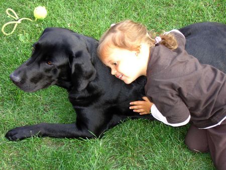 Labrador Retriever Hunde Foto 41720 in höherer Auflösung ansehen Labrador Retriever sonia und jaga