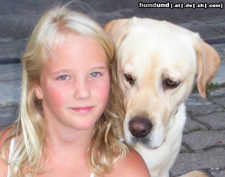 Labrador Retriever Hunde Foto 18116 in höherer Auflösung ansehen Labrador Retriever wer ist schöner?