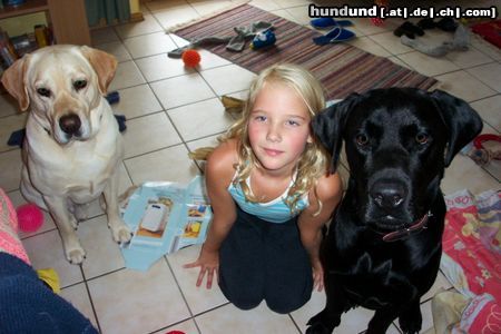 Labrador Retriever Bite, bitte wuff, wuff...