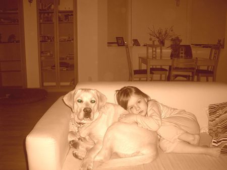 Labrador Retriever Hunde Foto 30650 Labrador Retriever die besten Freunde
