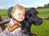 Labrador Retriever Foto: -wir haben uns lieb! (ID 41719) Labrador Retriever Hund
