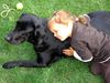 Labrador Retriever Foto: sonia und jaga (ID 41720) Labrador Retriever Hund
