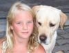 Labrador Retriever Hund