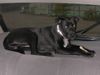 Labrador Retriever Foto: Diego 5 1/2 Monate (Labrador/Mix) (ID 16696) Labrador Retriever Hund