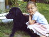 Labrador Retriever Foto (ID 31610) Labrador Retriever Hund
