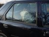 Labrador Retriever Foto: Lady liebt Autofahren (ID 22889) Labrador Retriever Hund