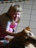 Labrador Retriever Foto: Ladyblue: (ID 31988) Labrador Retriever Hund