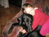 Labrador Retriever Foto: sonja und jaga (ID 43663) Labrador Retriever Hund