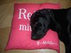 Labrador Retriever Foto: relax mal wieder (ID 12531) Labrador Retriever Hund