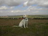 Labrador Retriever Foto: Der Duft der Felder und diese Aussicht, Tinka liebt es. (ID 41274) Labrador Retriever Hund